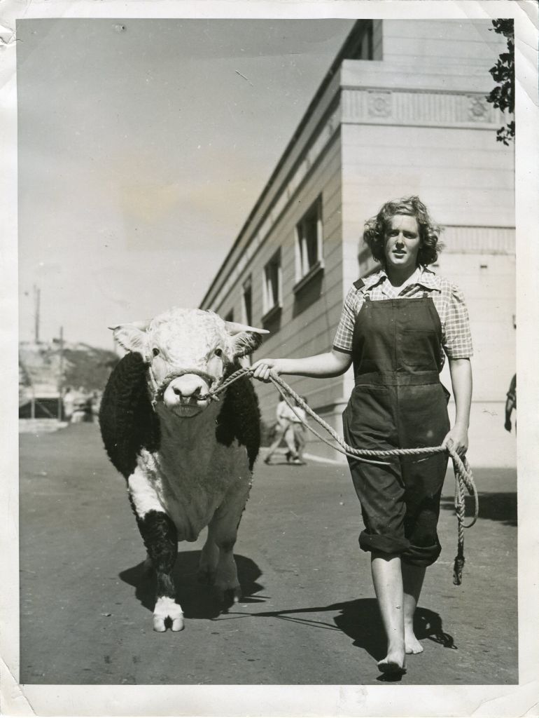 Veterinary Science Student from NZ 1947