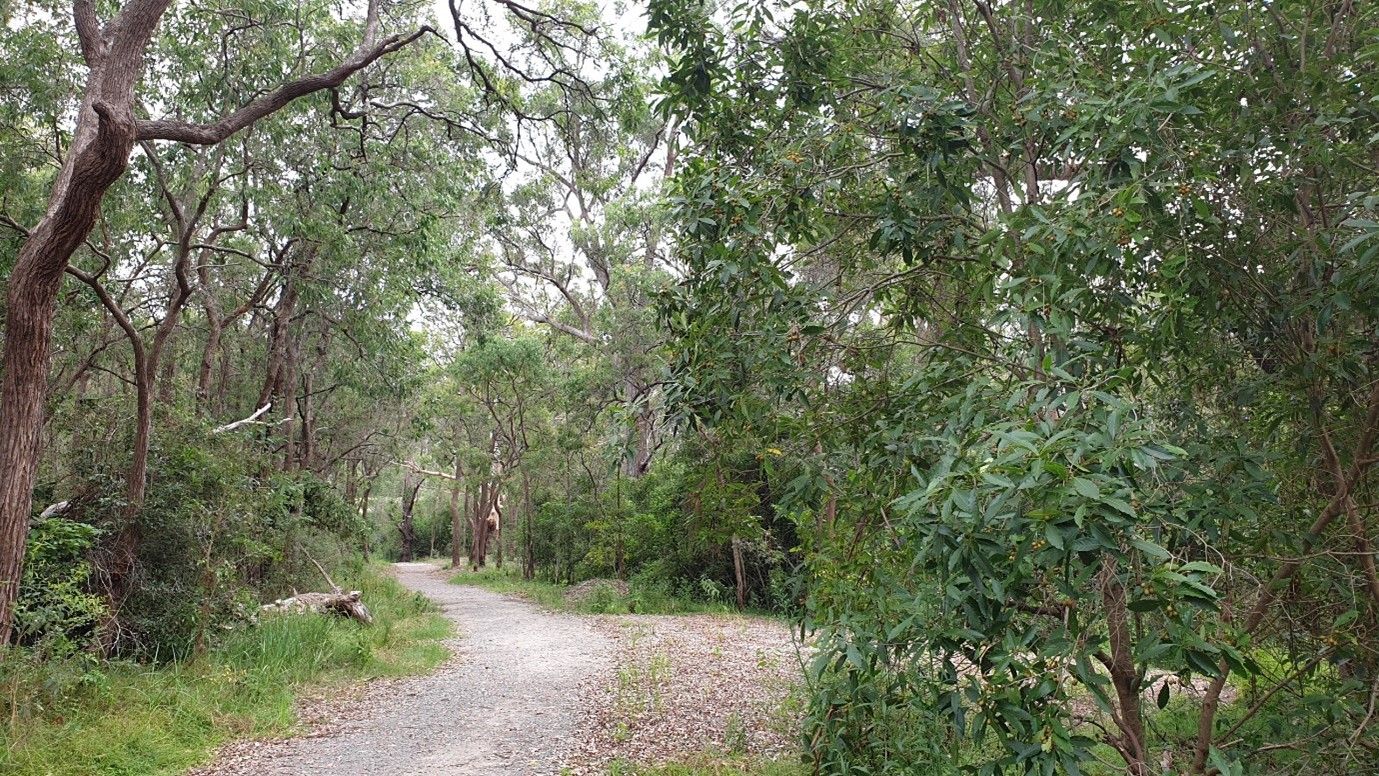 Hammers Road Reserve