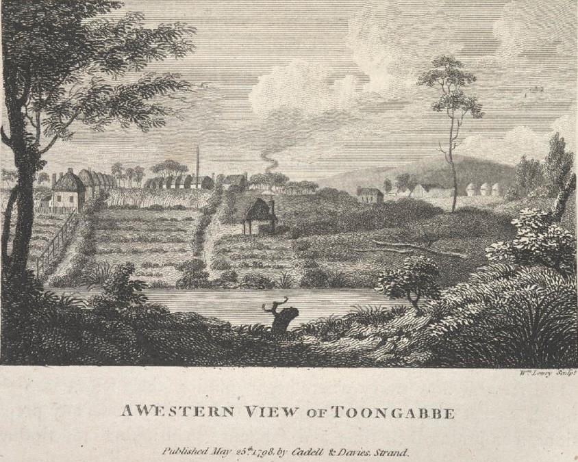 Oaks Reserve – Old Government Farm, Toongabbie Oaks Reserve – Old Government Farm, Toongabbie
