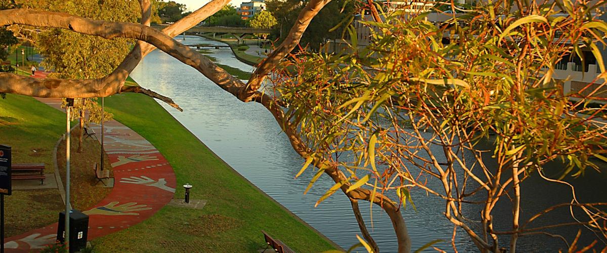 Parramatta river with mural