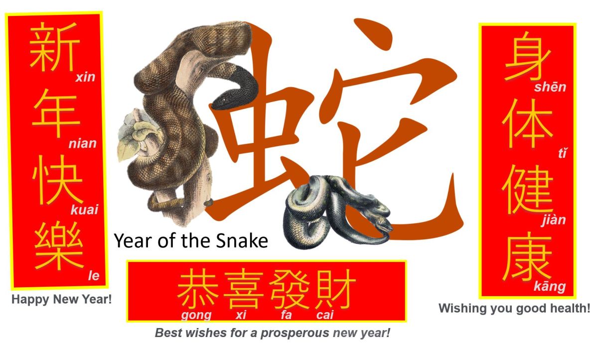 LNY - Year of the Snake