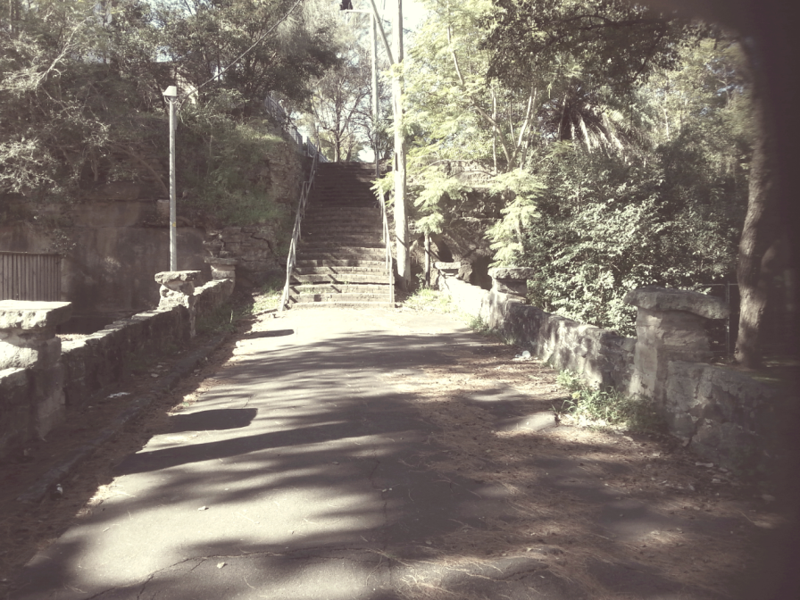 The Fleet Street Quarry, Parramatta North