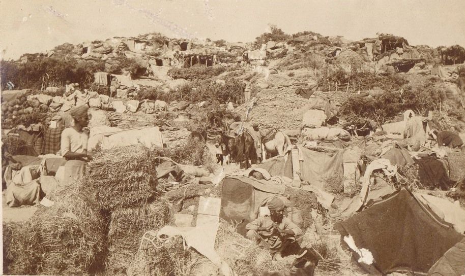 The Indian Mountain Battery and Mule Corps, Gallipoli, 1915