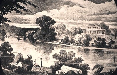 Wine, Tabacco, and Maize, 1791, Schaeffer’s Farm, Parramatta