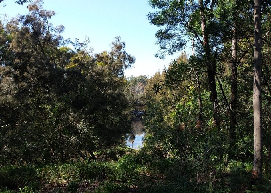 Walking The Duck River Reserve