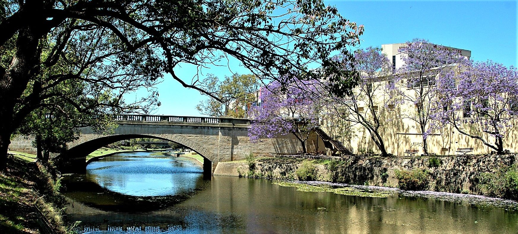 Welcome to our Parramatta History and Heritage website!