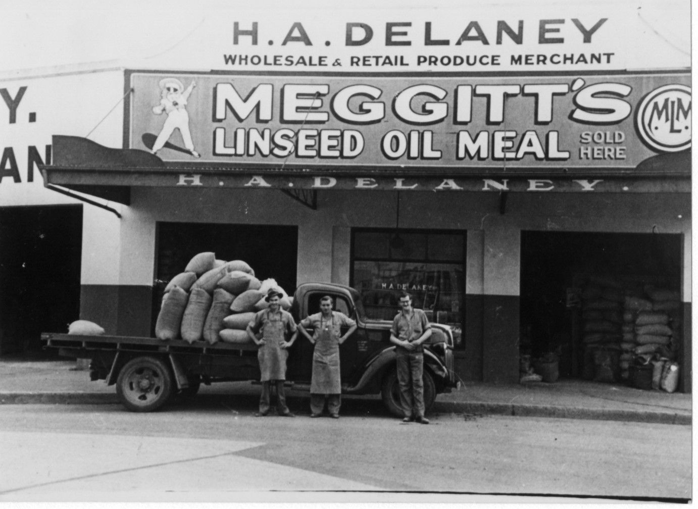 Meggit's Linseed Oil Meal