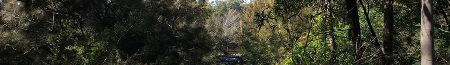 Walking The Duck River Reserve | Parramatta History and Heritage