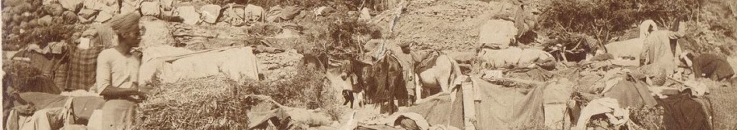 The Indian Mountain Battery and Mule Corps, Gallipoli, 1915