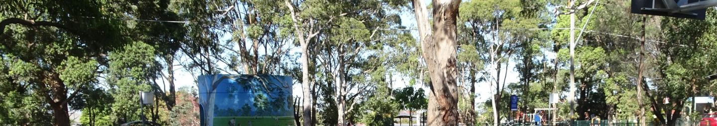 Loftus Square Park Epping, 2018. Image courtesy of City of Parramatta