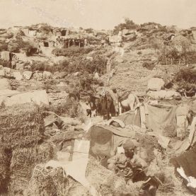 The Indian Mountain Battery and Mule Corps, Gallipoli, 1915