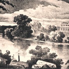 Wine, Tabacco, and Maize, 1791, Schaeffer’s Farm, Parramatta