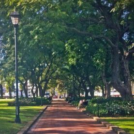 Prince Alfred Park 