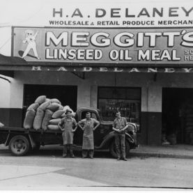 Meggit's Linseed Oil Meal