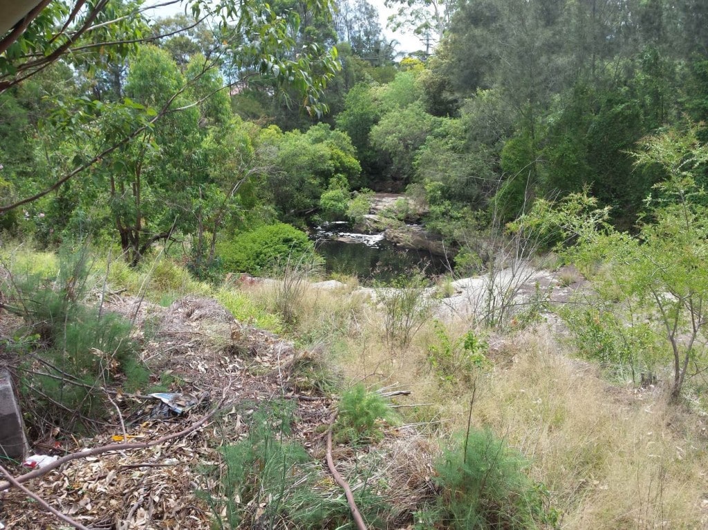 Darling Mills Creek, Vineyard Farm, Parramatta City Council, Geoff Barker, 2015