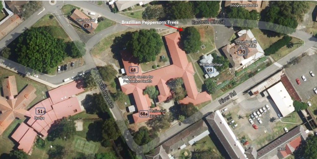 Aerial view of Gungurra, Cumberland Hospital, North Parramatta. (c) Google map 2015