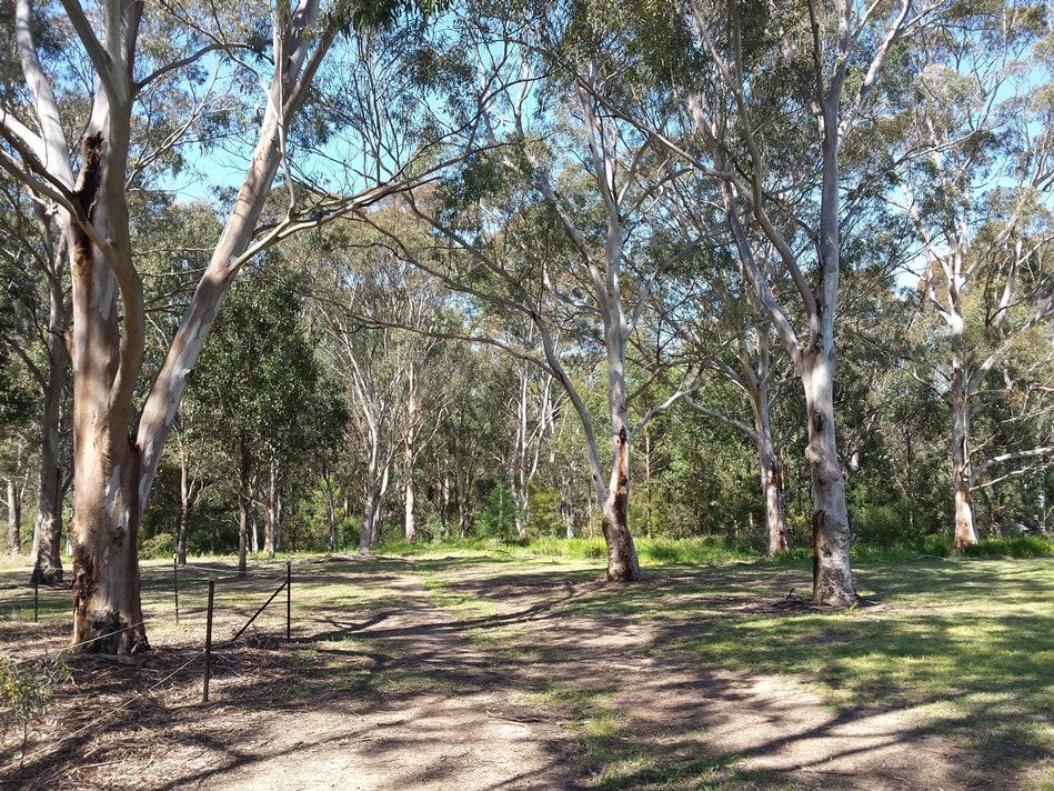 Wategora Reserve, Duck River, photo Geoff barker, Parramatta City Council, 2015